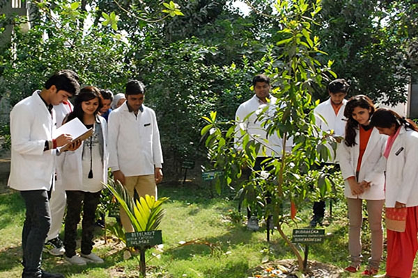 Pharmaceutical College Barpali Medicinal Garden